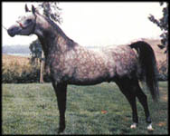 Chacala